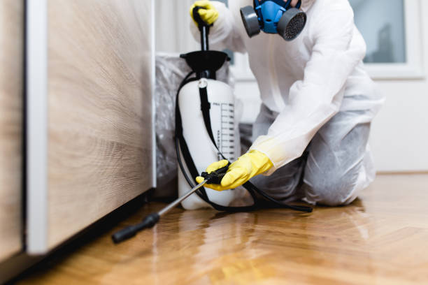 Best Termite Control Services  in Bermuda Run, NC
