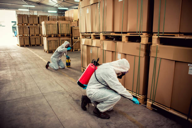 Best Rat Extermination Near Me  in Bermuda Run, NC