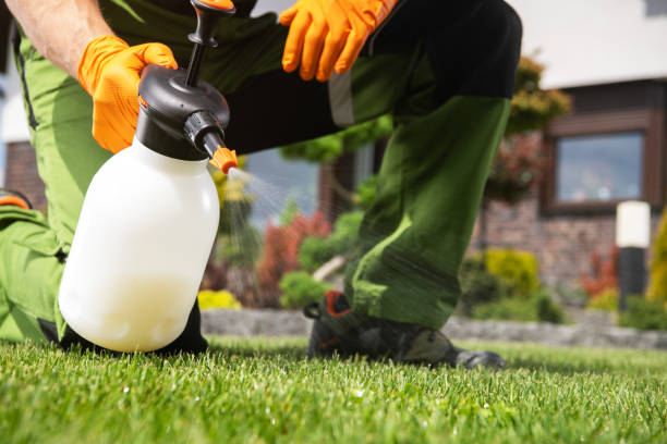 Best Residential Pest Control  in Bermuda Run, NC