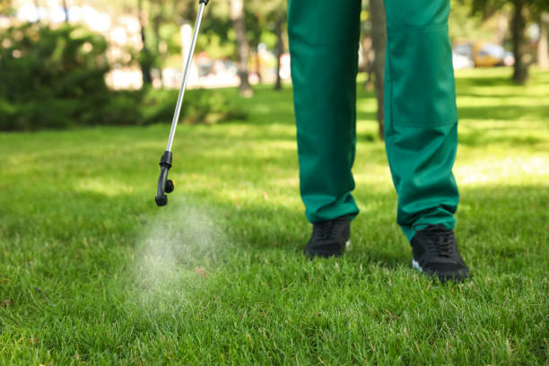 Best Pest Control for Homes  in Bermuda Run, NC