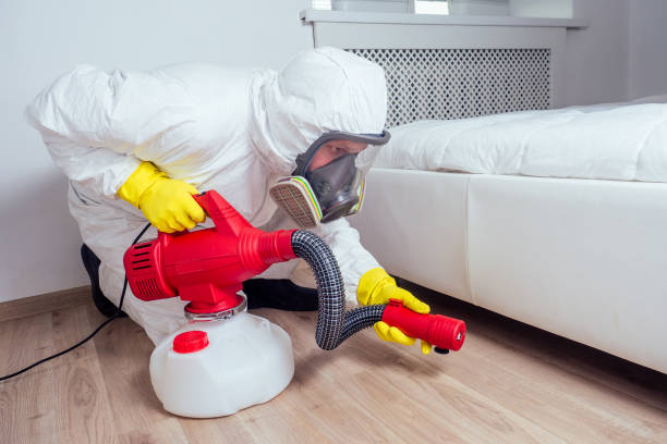 Best Flea Control Services  in Bermuda Run, NC
