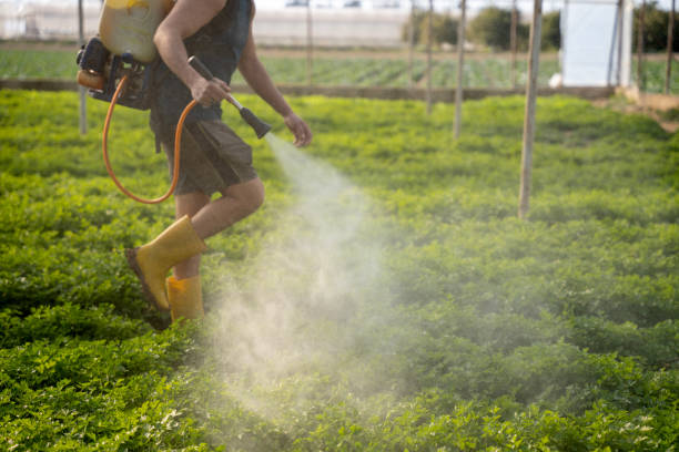 Best Local Pest Control Services  in Bermuda Run, NC
