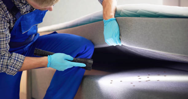 Trusted Bermuda Run, NC Pest Control Experts