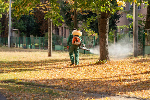 Best Rodent Control Near Me  in Bermuda Run, NC