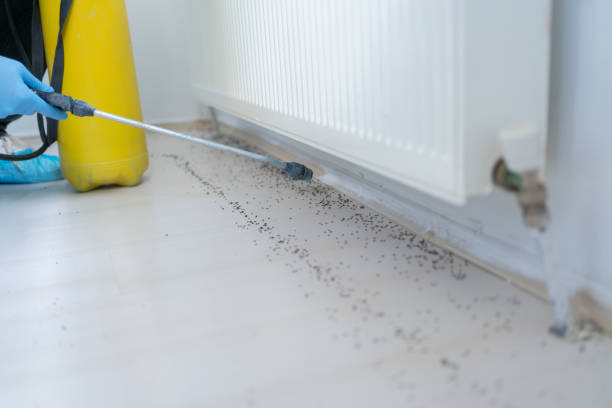 Best Commercial Pest Control Services  in Bermuda Run, NC
