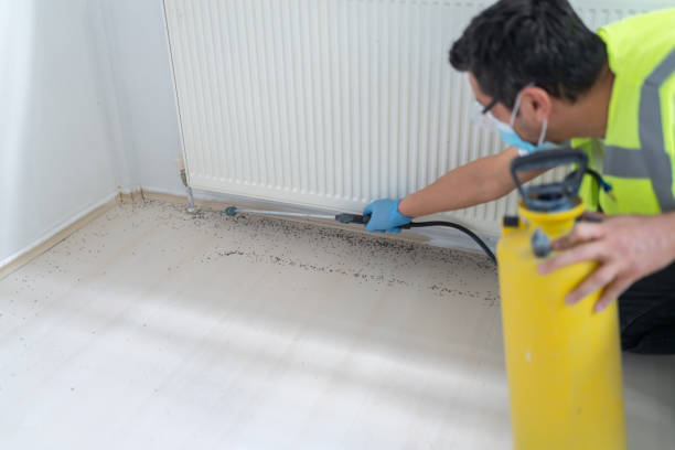 Best Ant Control Services  in Bermuda Run, NC